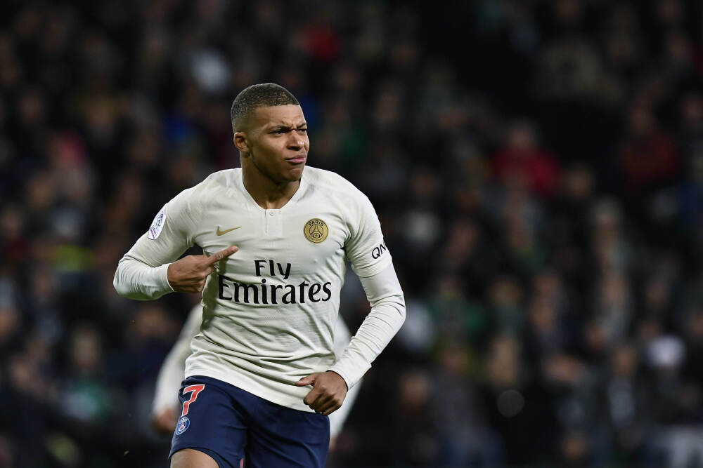 特写丨守护雨林中的马来熊